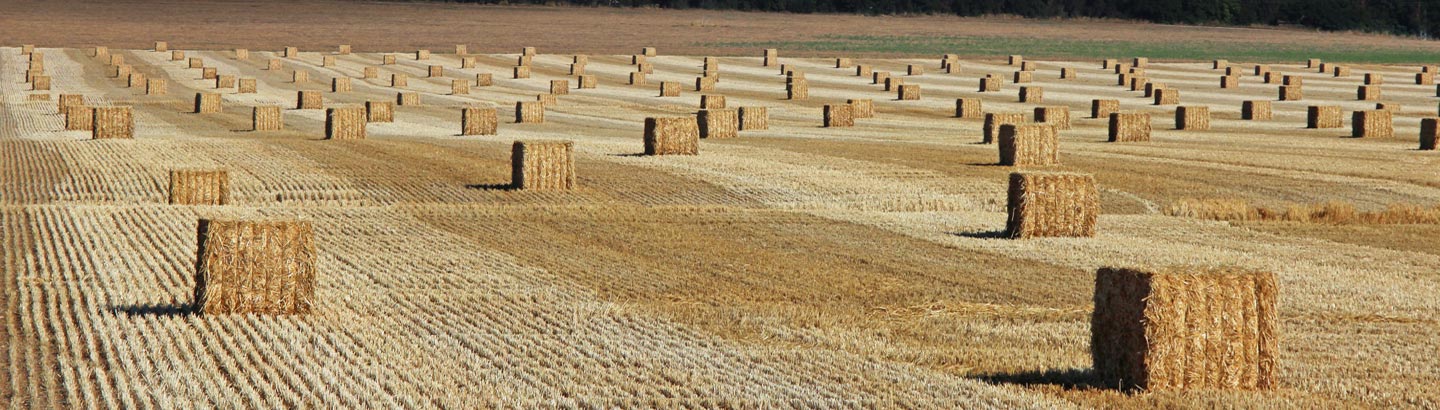 TamaTwine<sup>™</sup> for Small Square and Round Bales