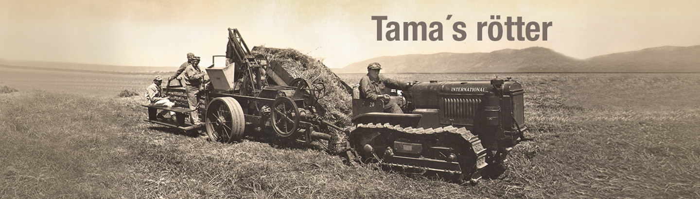 Tama Lantbruks Roots