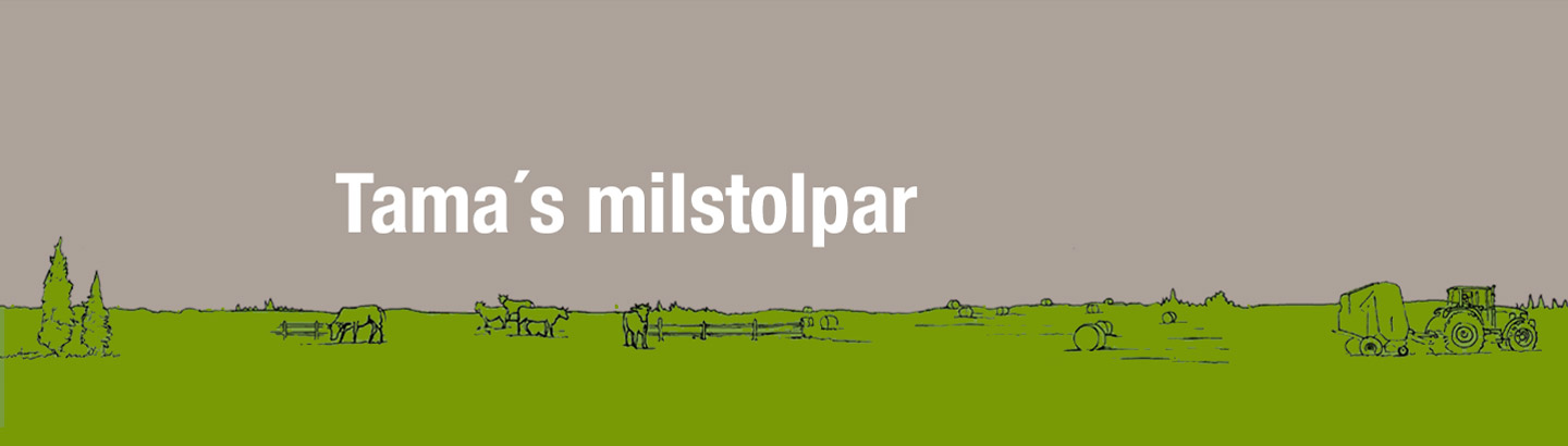 Tama´s milstolpar