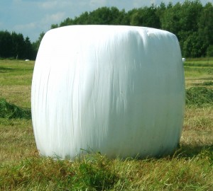 Ensilageplast