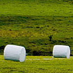 Ensilageplast