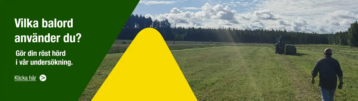 Balord undersökning