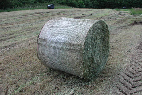 Bale damage