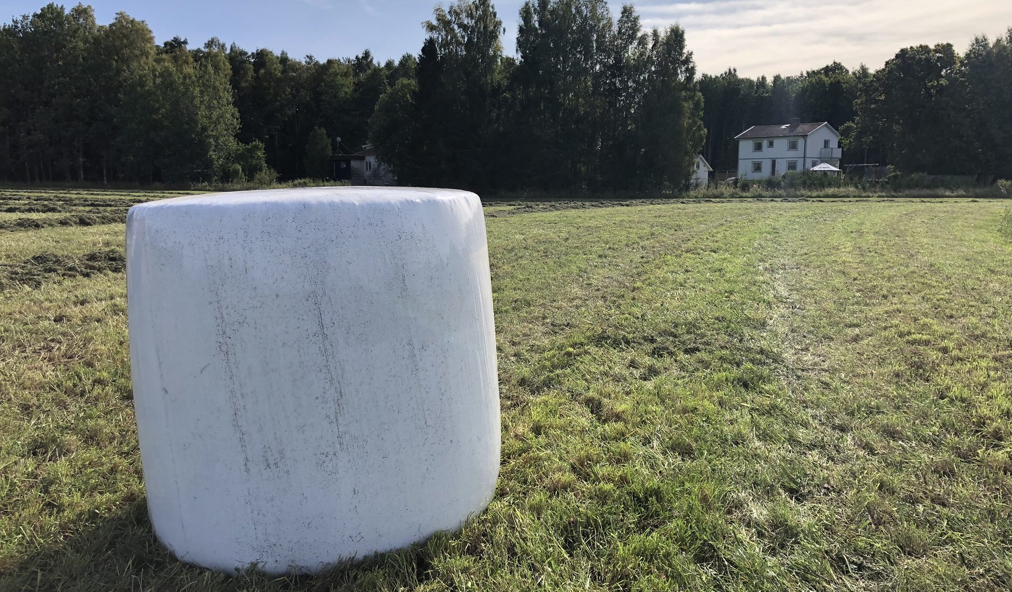 Köpa nät garn film